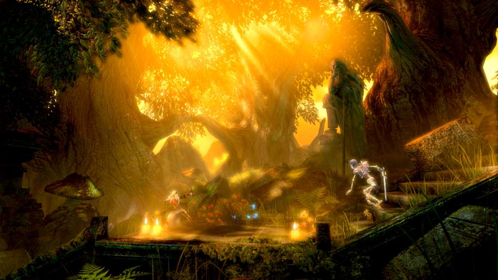 Trine Enchanted Edition EU Steam CD Key