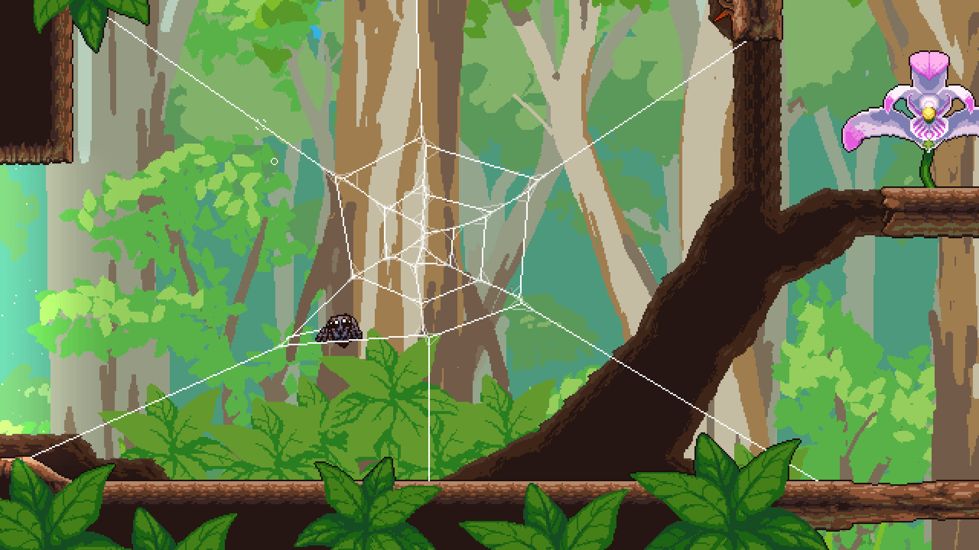 Webbed EN/DE Languages Only Steam CD Key