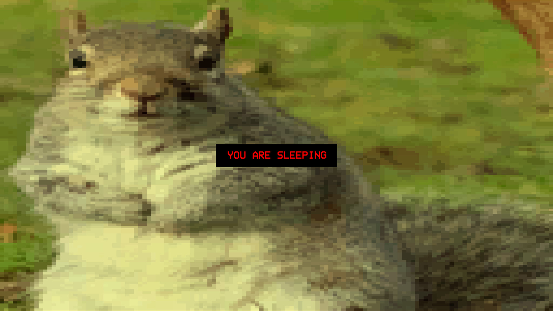 Squirrel Stapler Steam CD Key