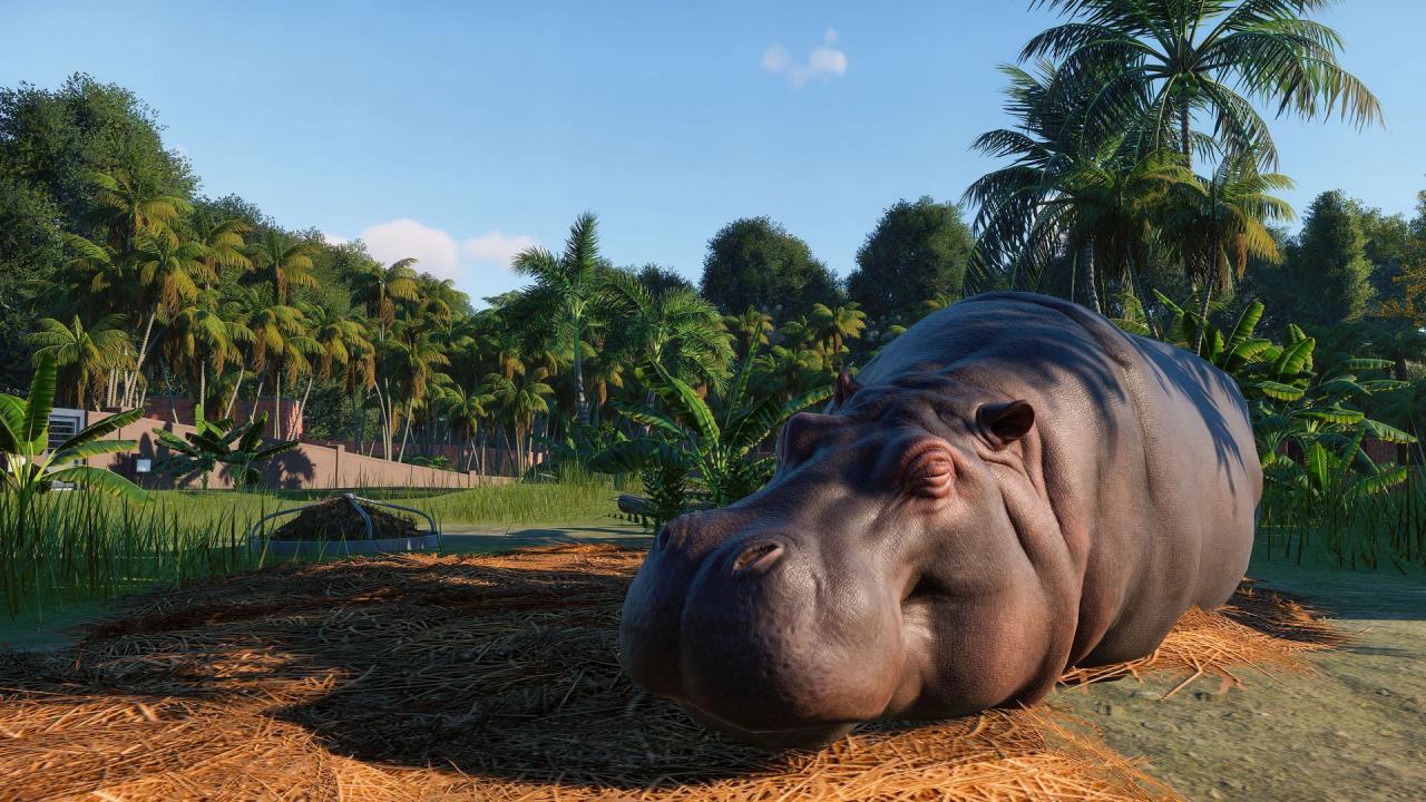 Planet Zoo PC Steam CD Key