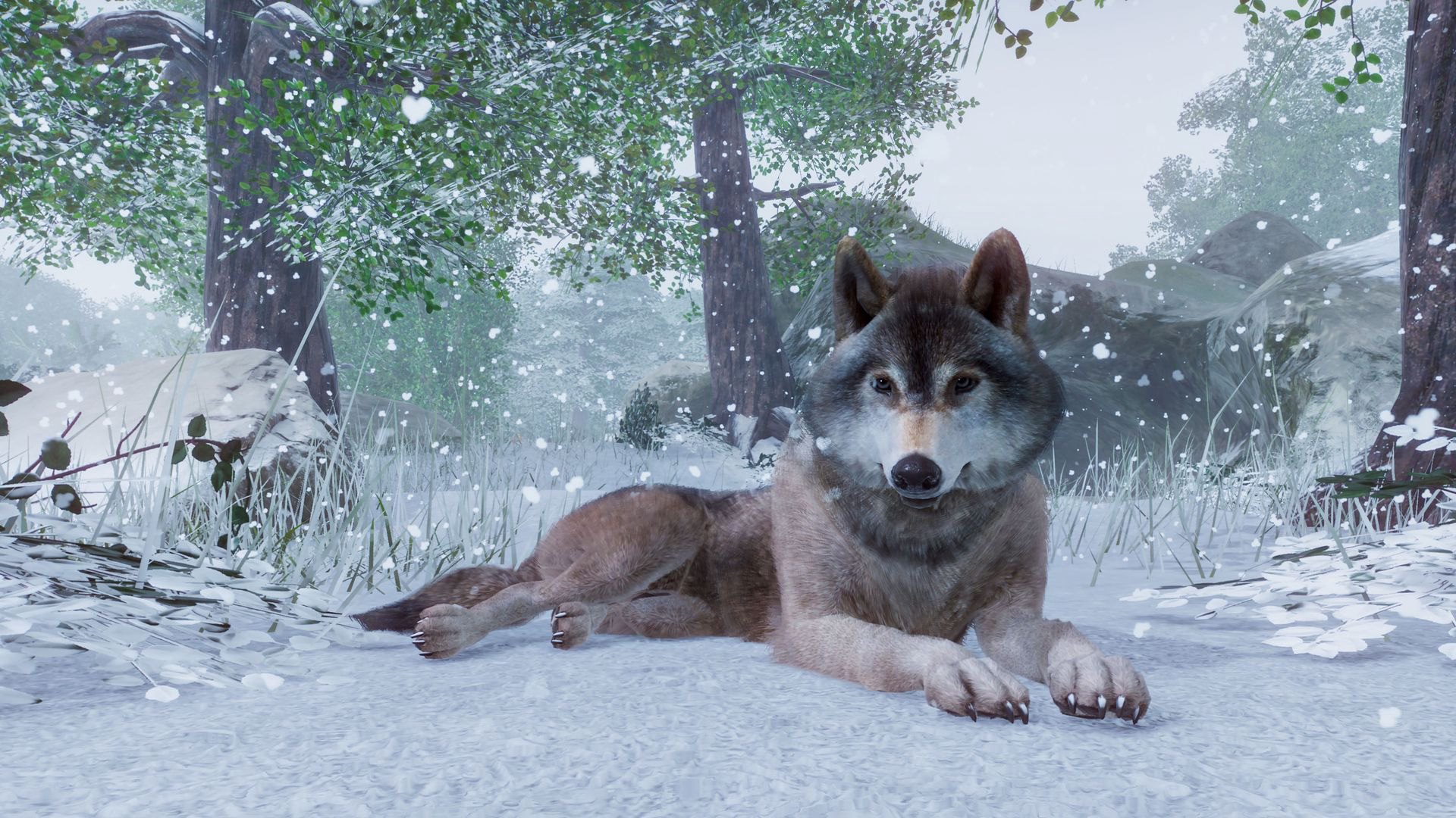 Planet Zoo PC Steam CD Key