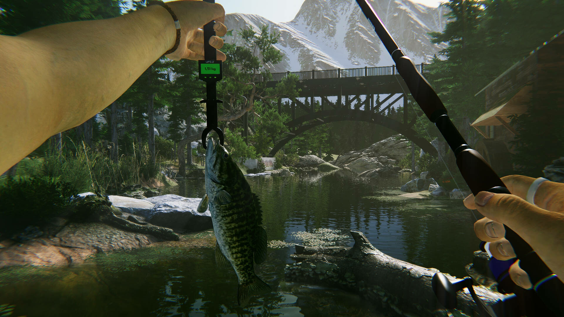 Ultimate Fishing Simulator 2 PC Steam Account