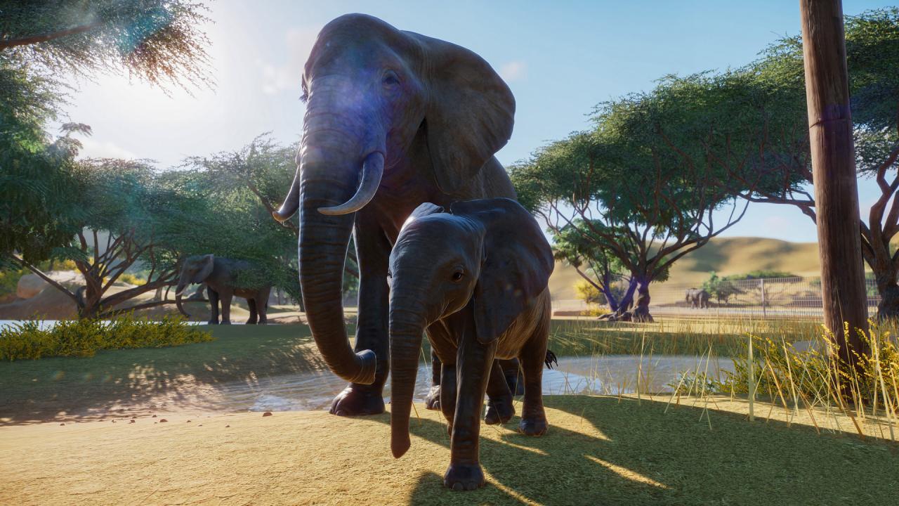 Planet Zoo Deluxe Edition PC Steam CD Key