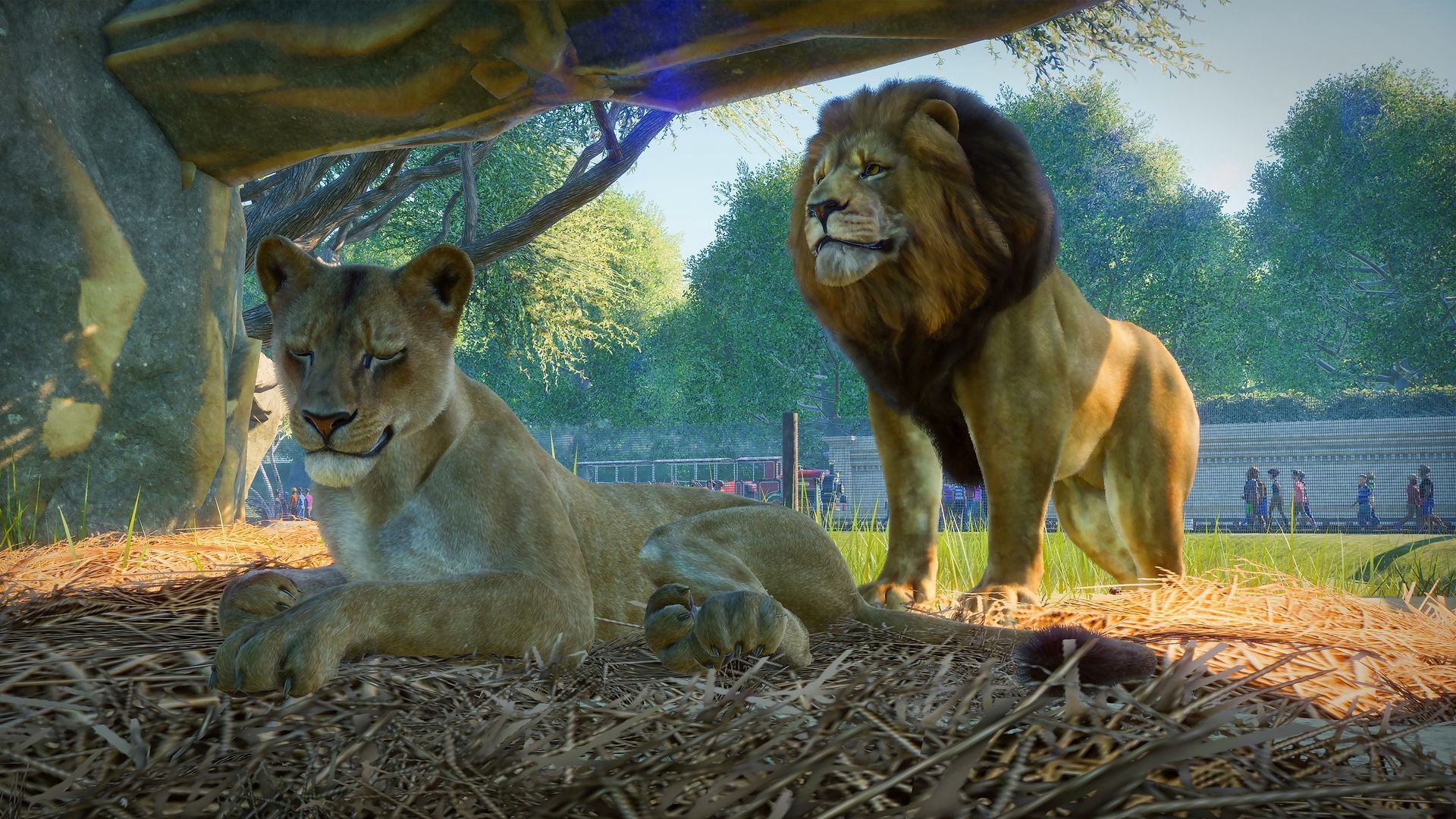 Planet Zoo Deluxe Edition PC Steam CD Key