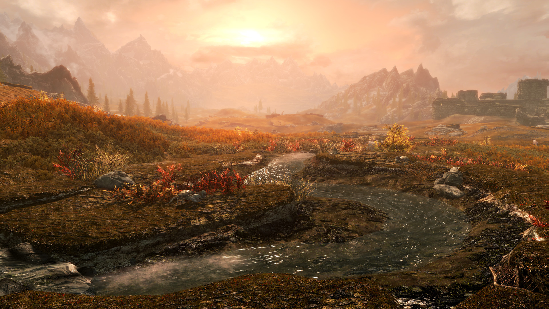 The Elder Scrolls V: Skyrim Anniversary Edition PC GOG CD Key