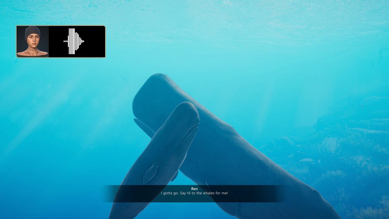 Beyond Blue Steam CD Key