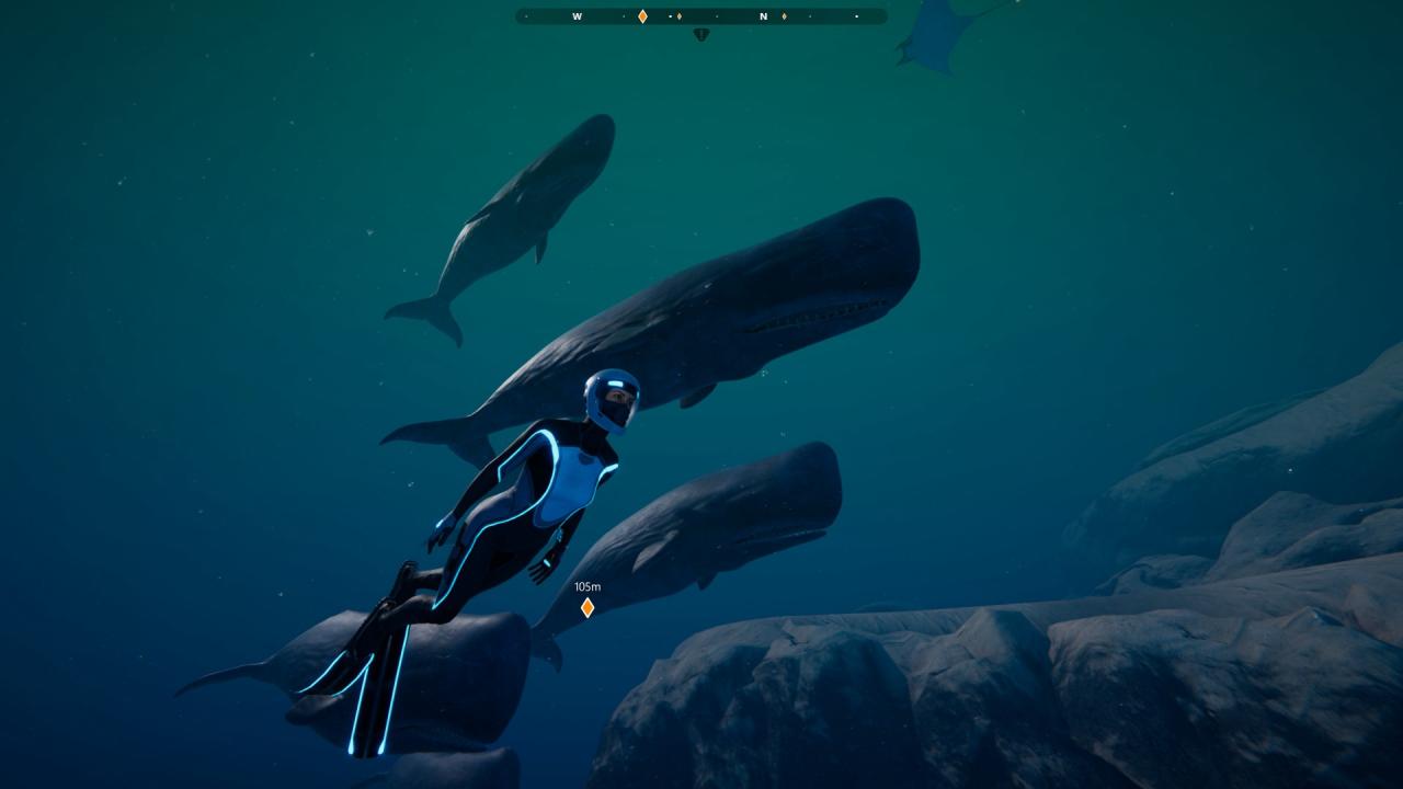 Beyond Blue Steam CD Key