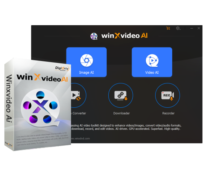 Winxvideo AI Key (1 Year / 3 PCs)