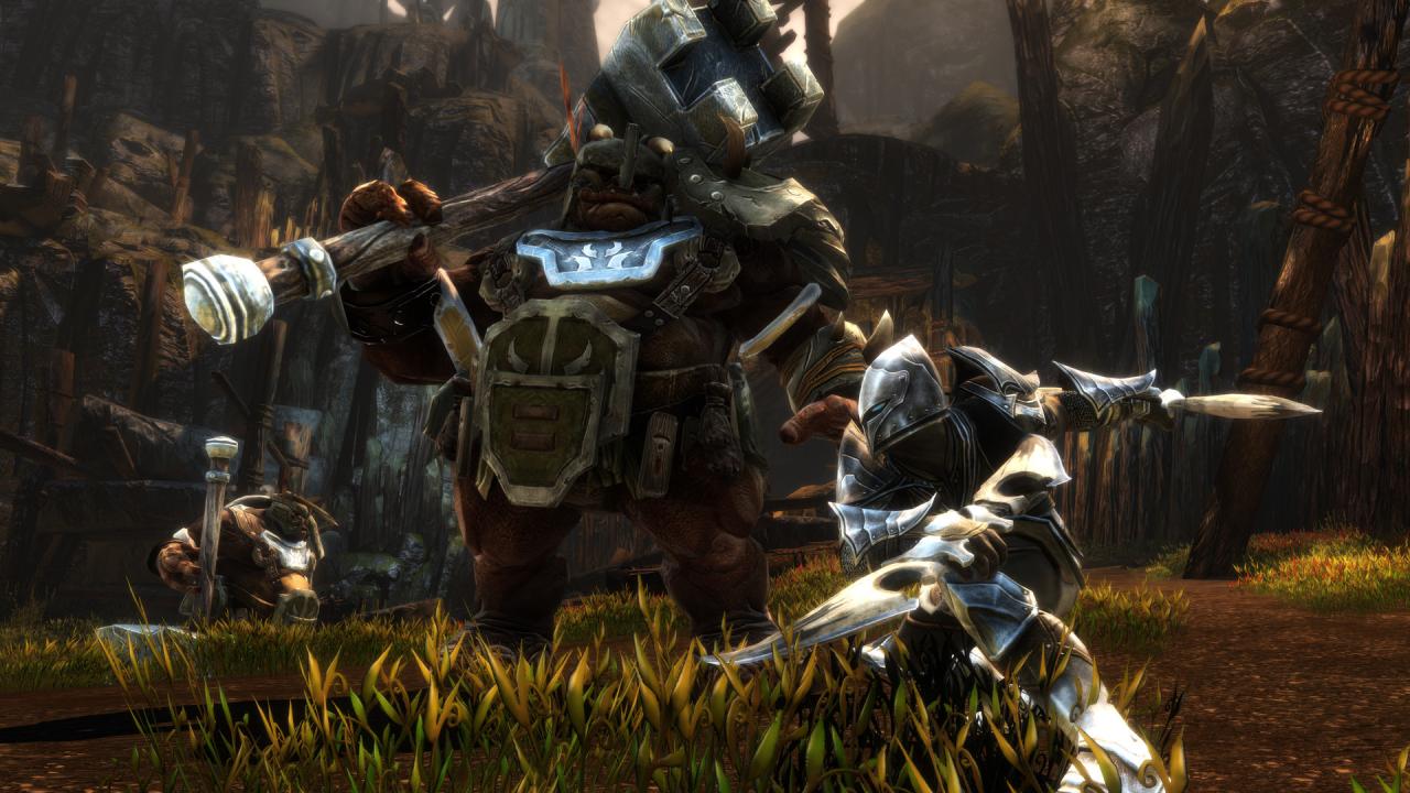 Kingdoms of Amalur: Re-Reckoning PC Steam CD Key