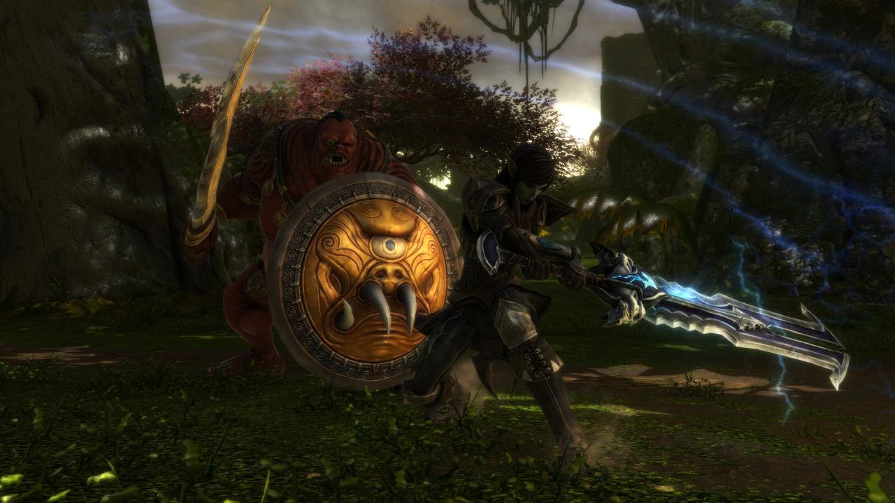 Kingdoms of Amalur: Re-Reckoning PC Steam CD Key