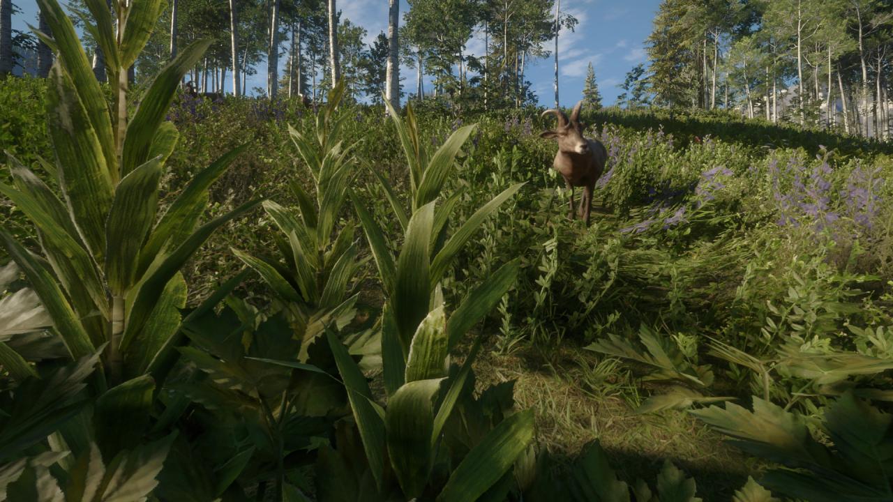 theHunter: Call of the Wild - Silver Ridge Peaks DLC PC Steam CD Key (valid until March, 2027)