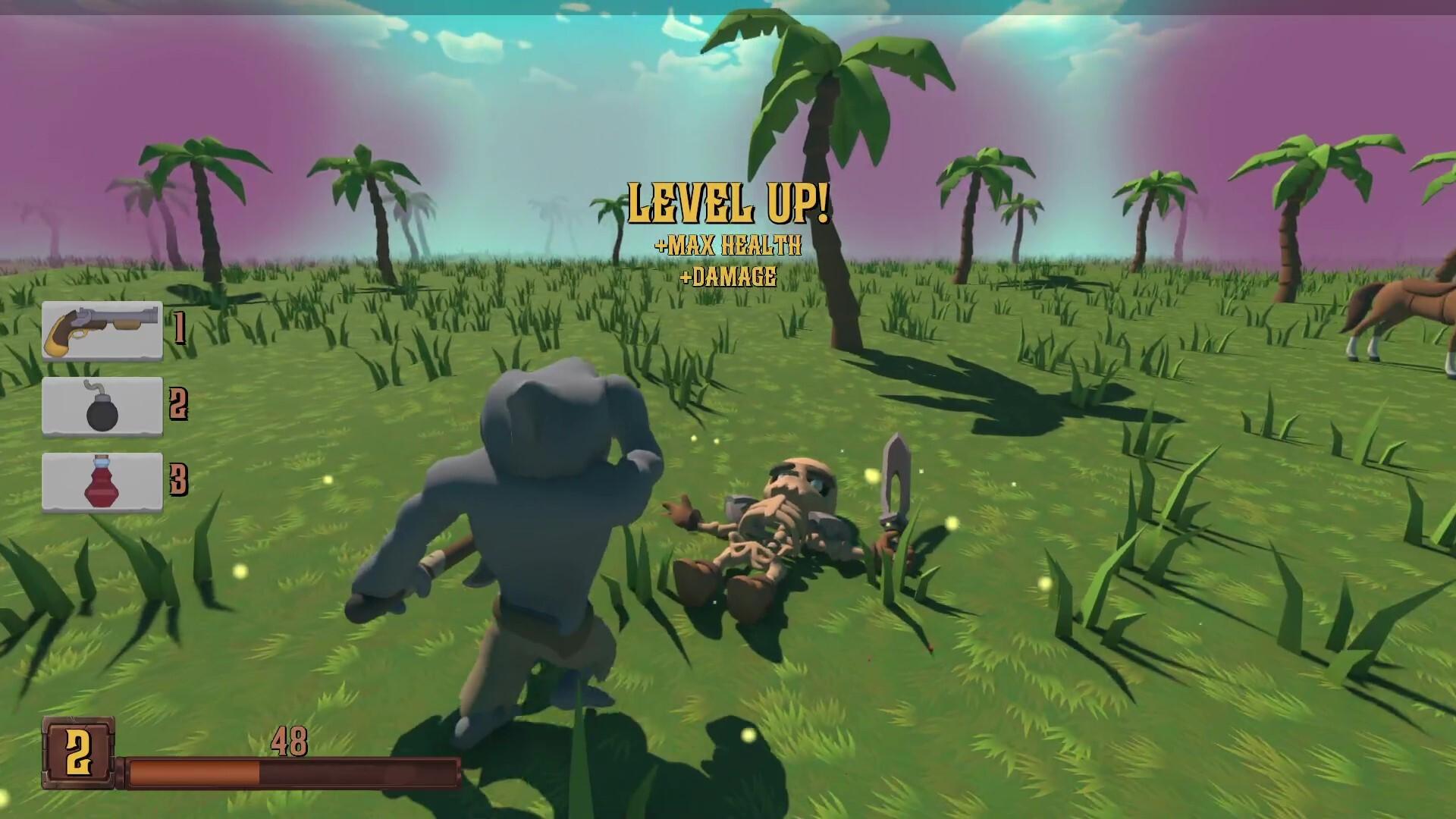 Pirate's Booty PC Steam CD Key