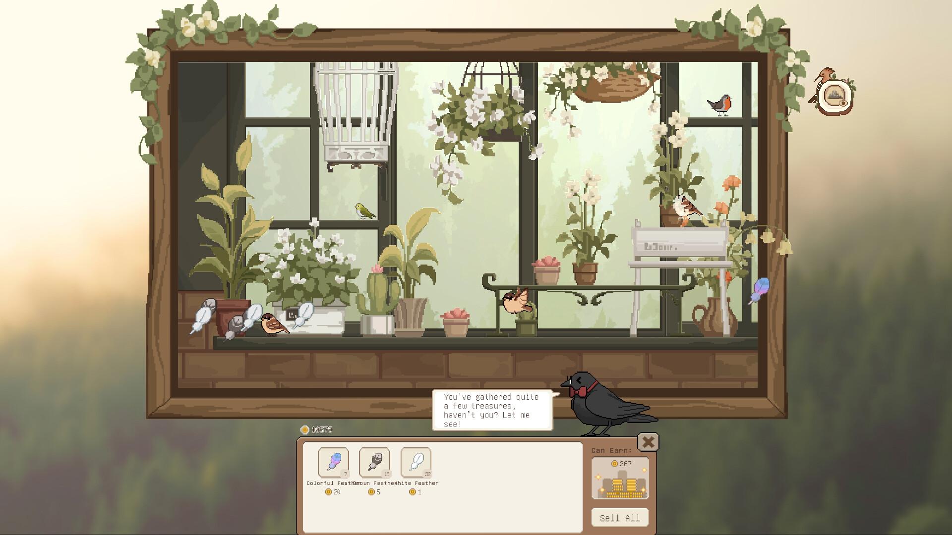 Birdwatching Notebook PC Steam CD Key