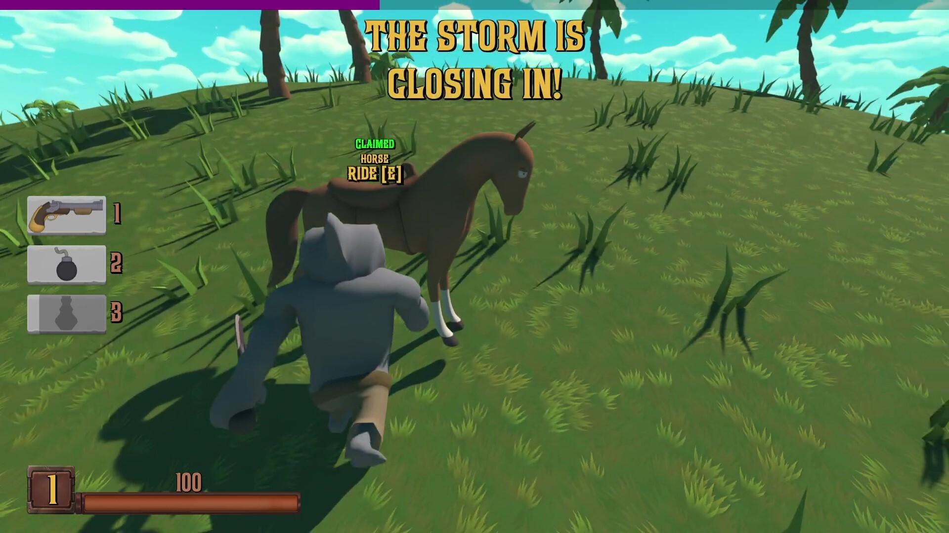 Pirate's Booty PC Steam CD Key