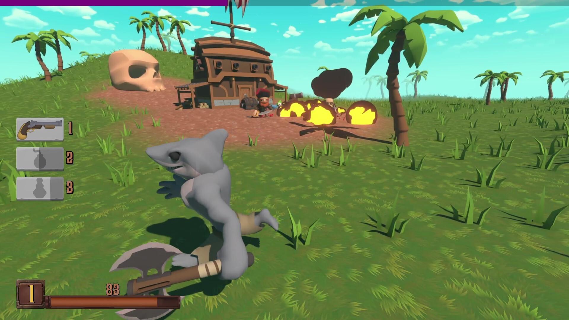 Pirate's Booty PC Steam CD Key