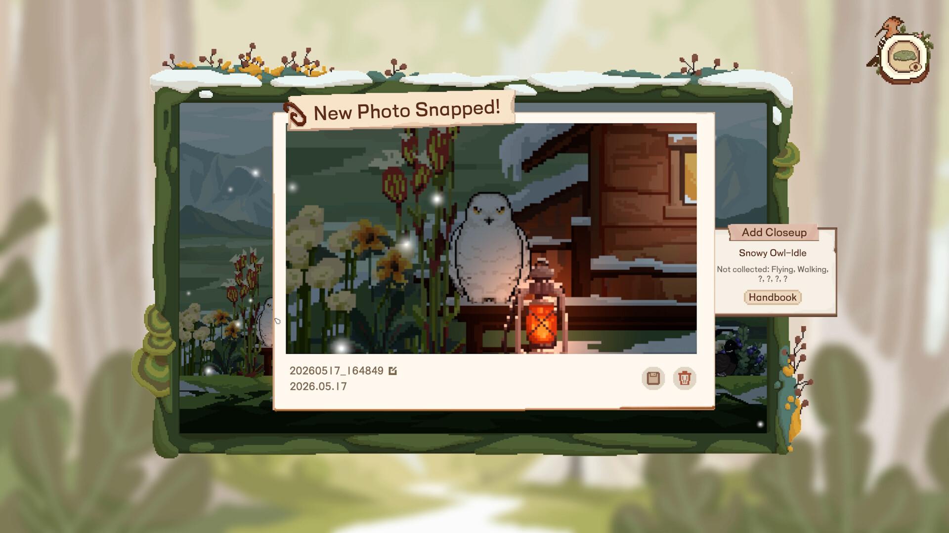 Birdwatching Notebook PC Steam CD Key