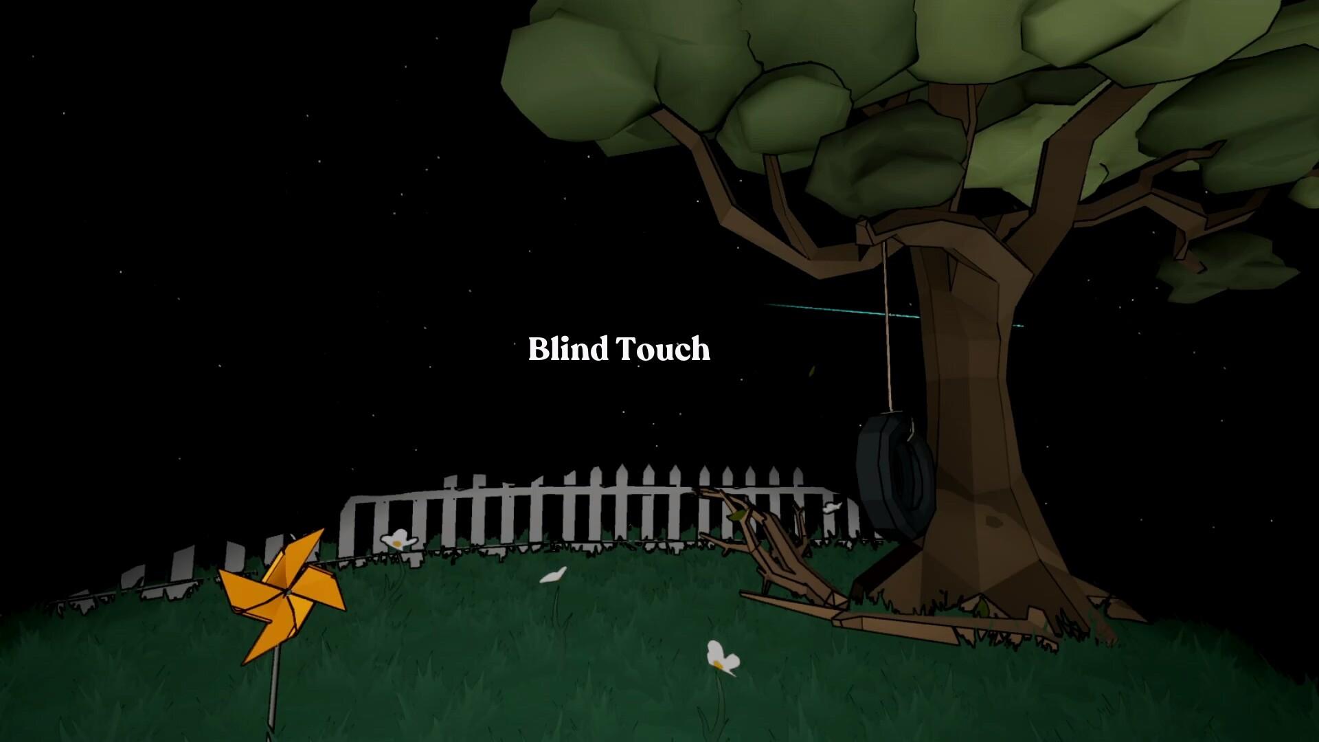 Blind Touch PC Steam CD Key