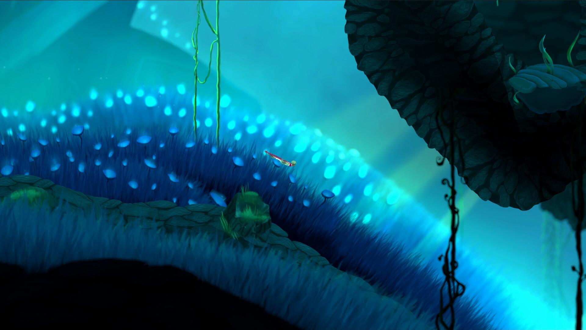 Bahamut and the Waqwaq Tree PC Steam CD Key
