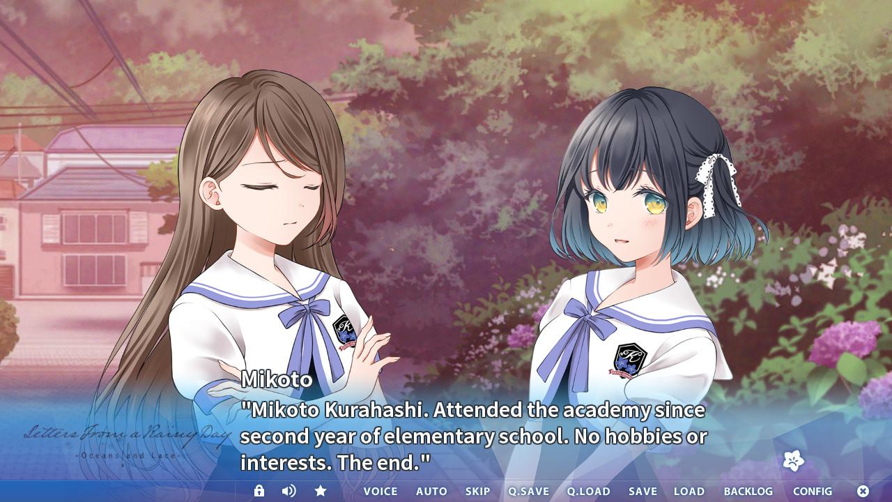 Letters From a Rainy Day -Oceans and Lace- PC Steam CD Key