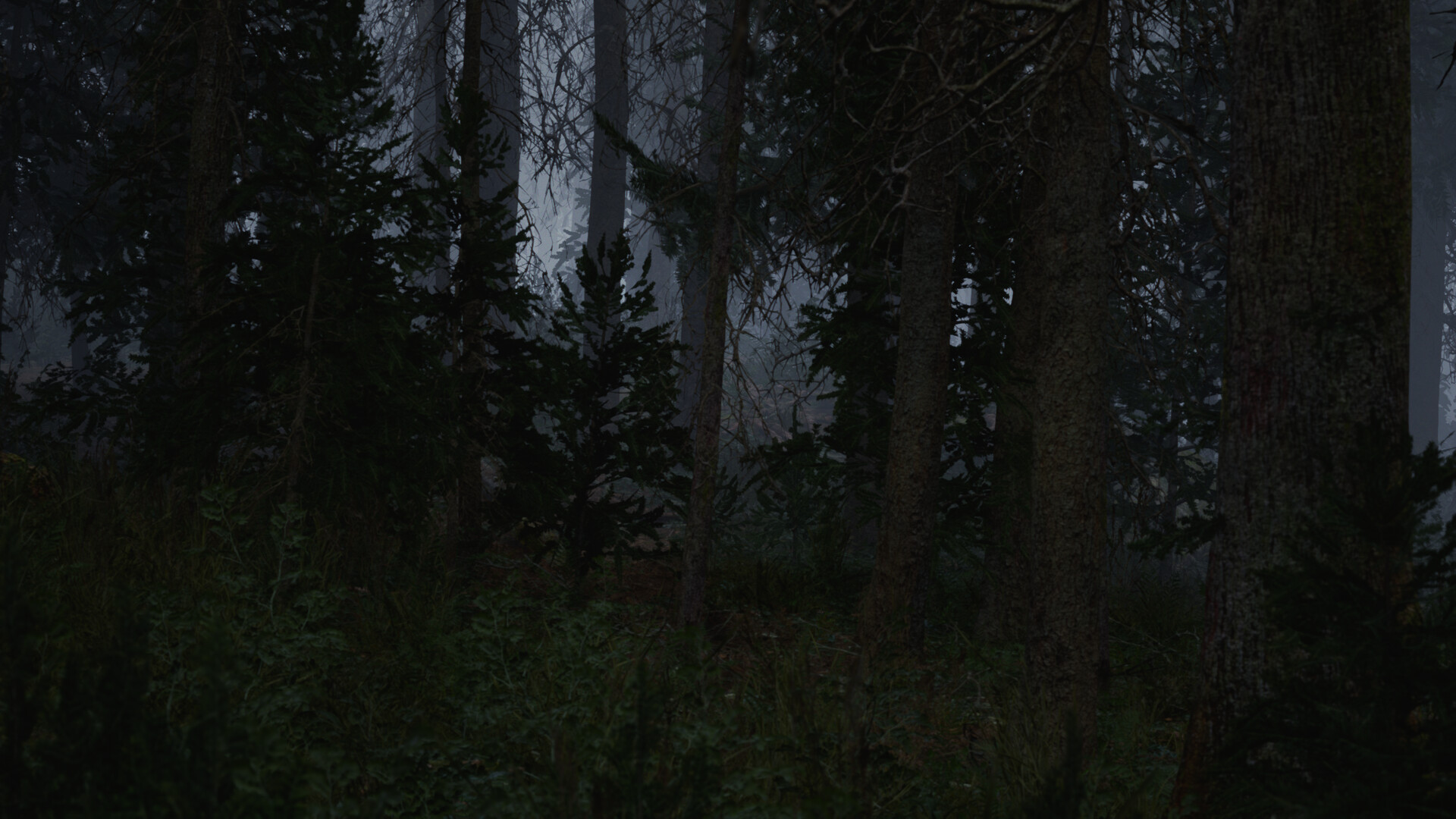 Veil of Mist PC Steam CD Key