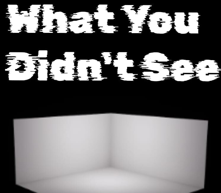 What You Didn't See PC Steam CD Key