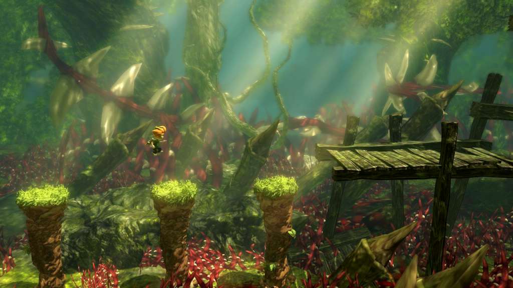 Max: the Curse of Brotherhood EU Nintendo Switch CD Key