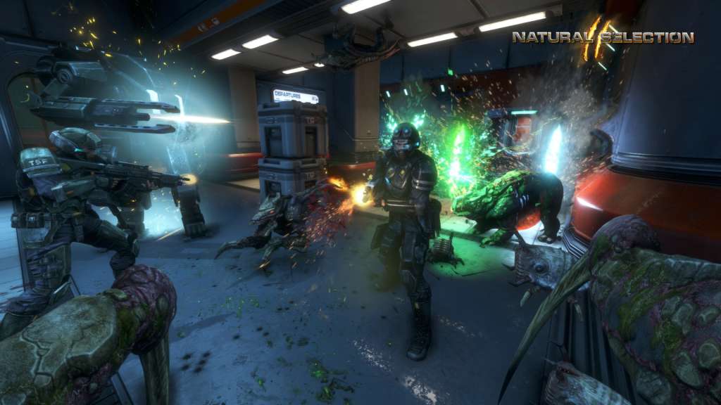 Natural Selection 2 EU Steam Gift