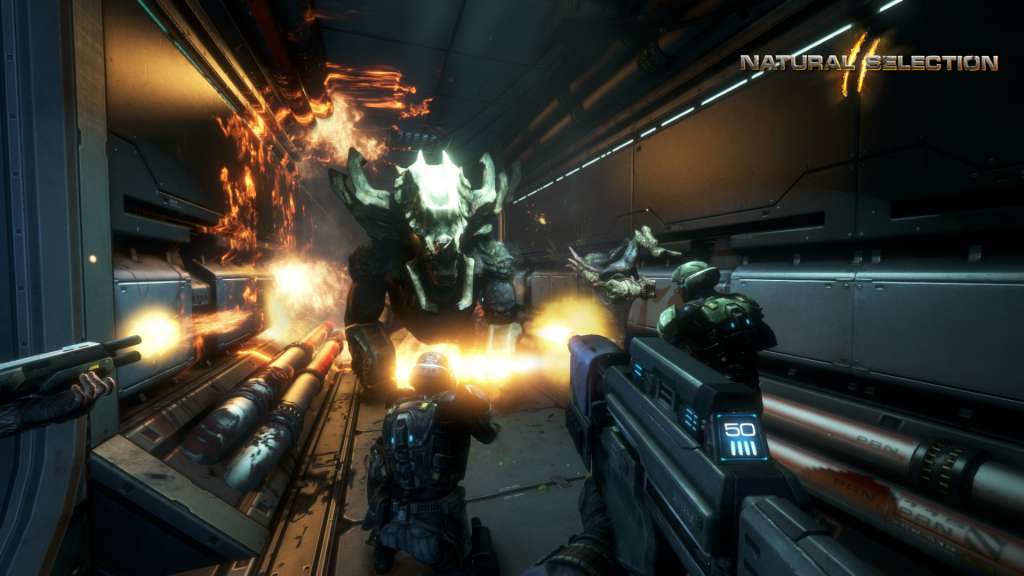 Natural Selection 2 EU Steam Gift