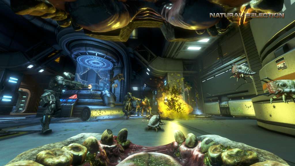 Natural Selection 2 EU Steam Gift