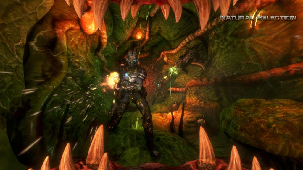Natural Selection 2 EU Steam Gift