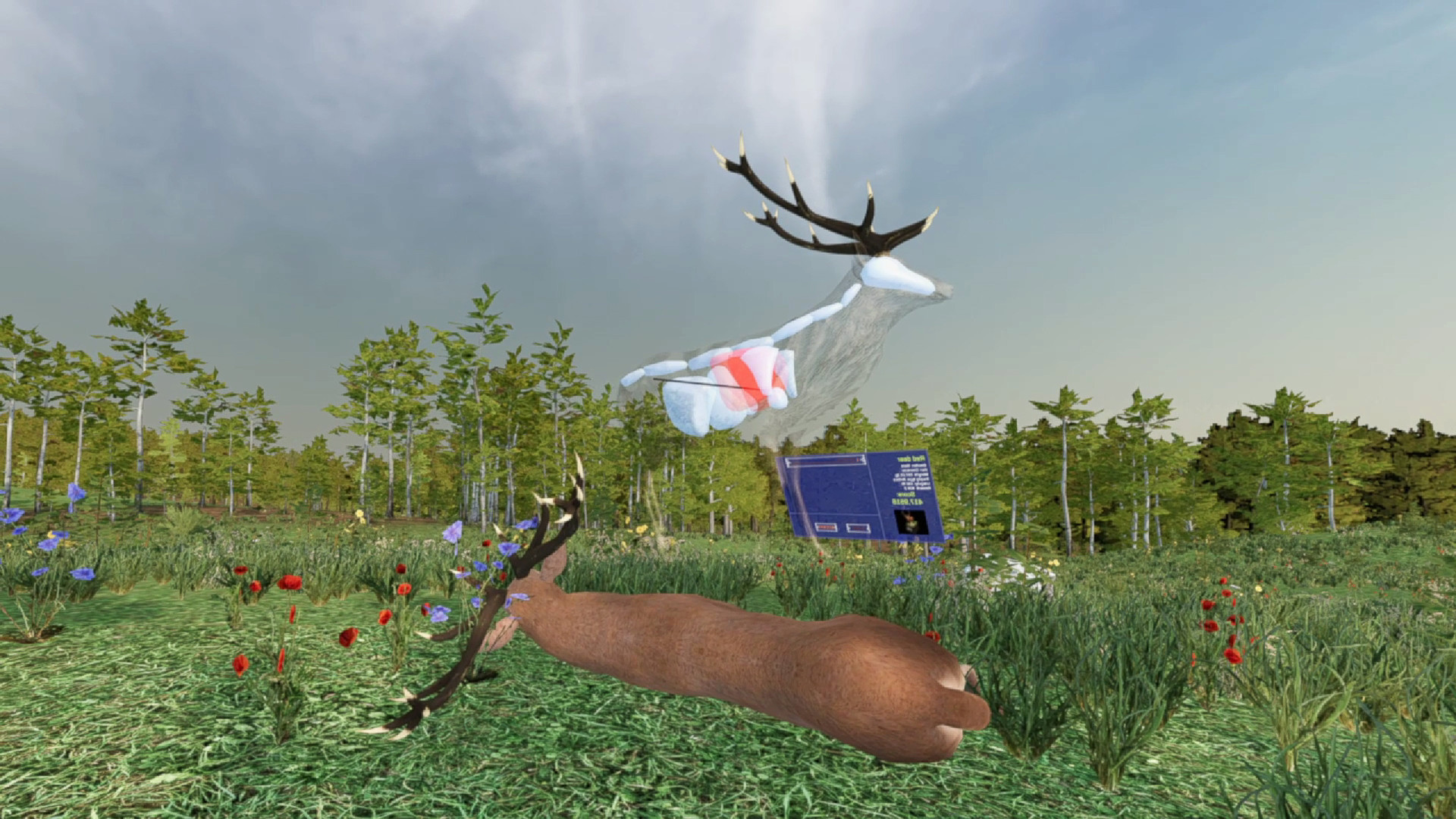 Virtual Hunter PC Steam CD Key