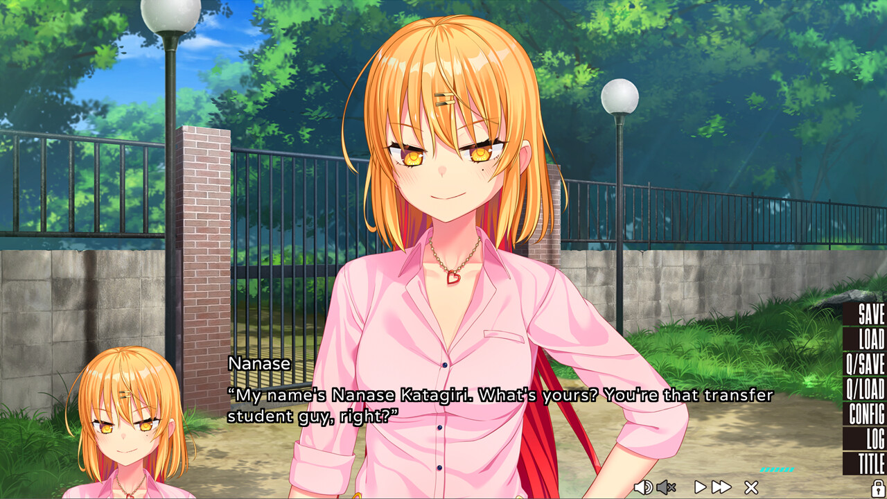 NUKITASHI PC Steam CD Key