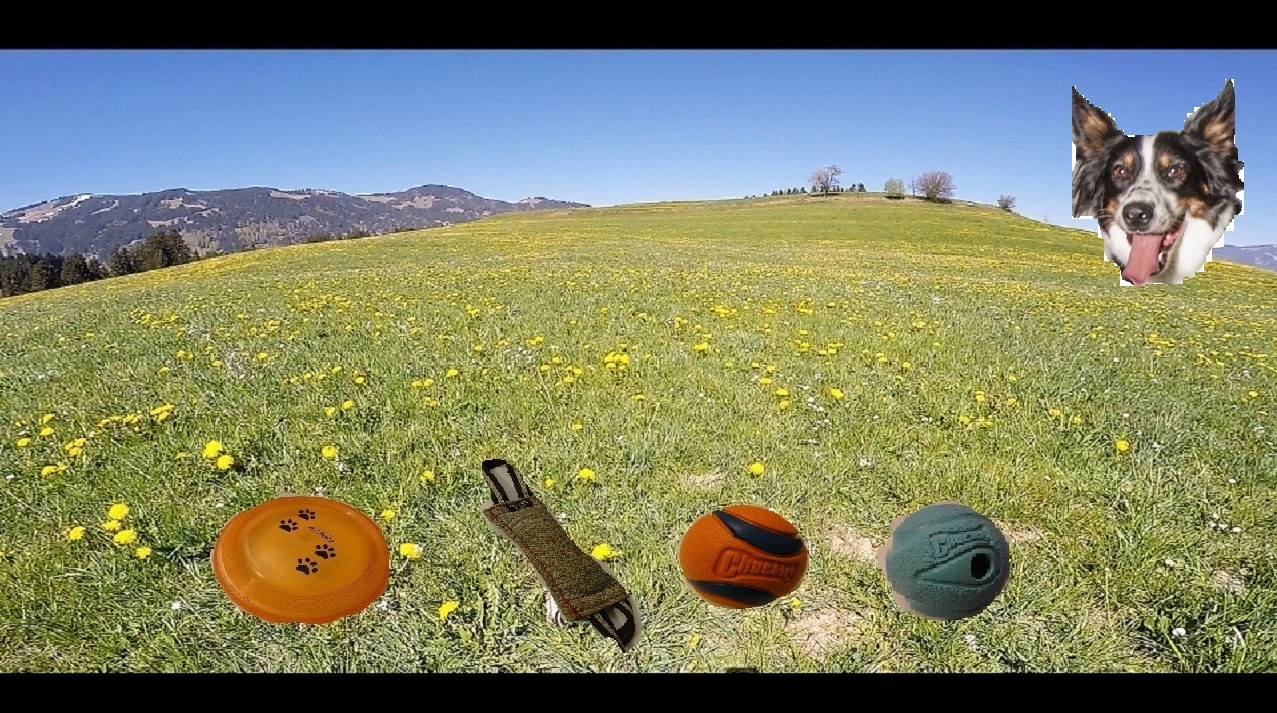 BorderCollie Game Steam CD Key