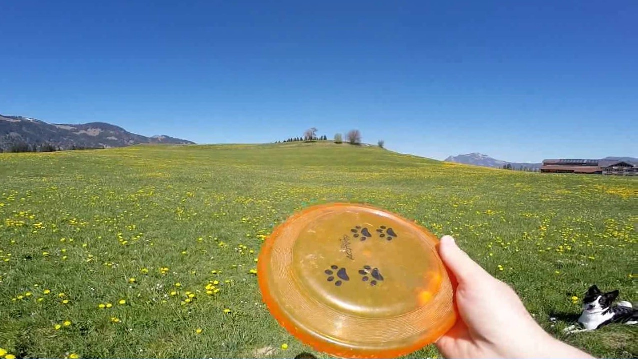 BorderCollie Game Steam CD Key