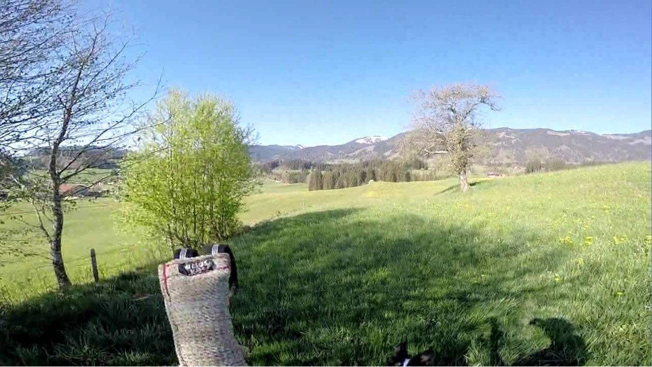 BorderCollie Game Steam CD Key