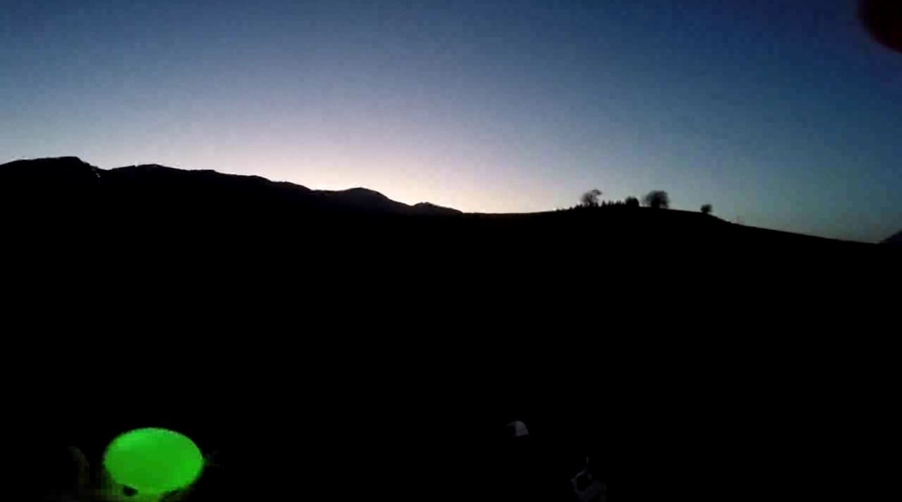 BorderCollie Game Steam CD Key