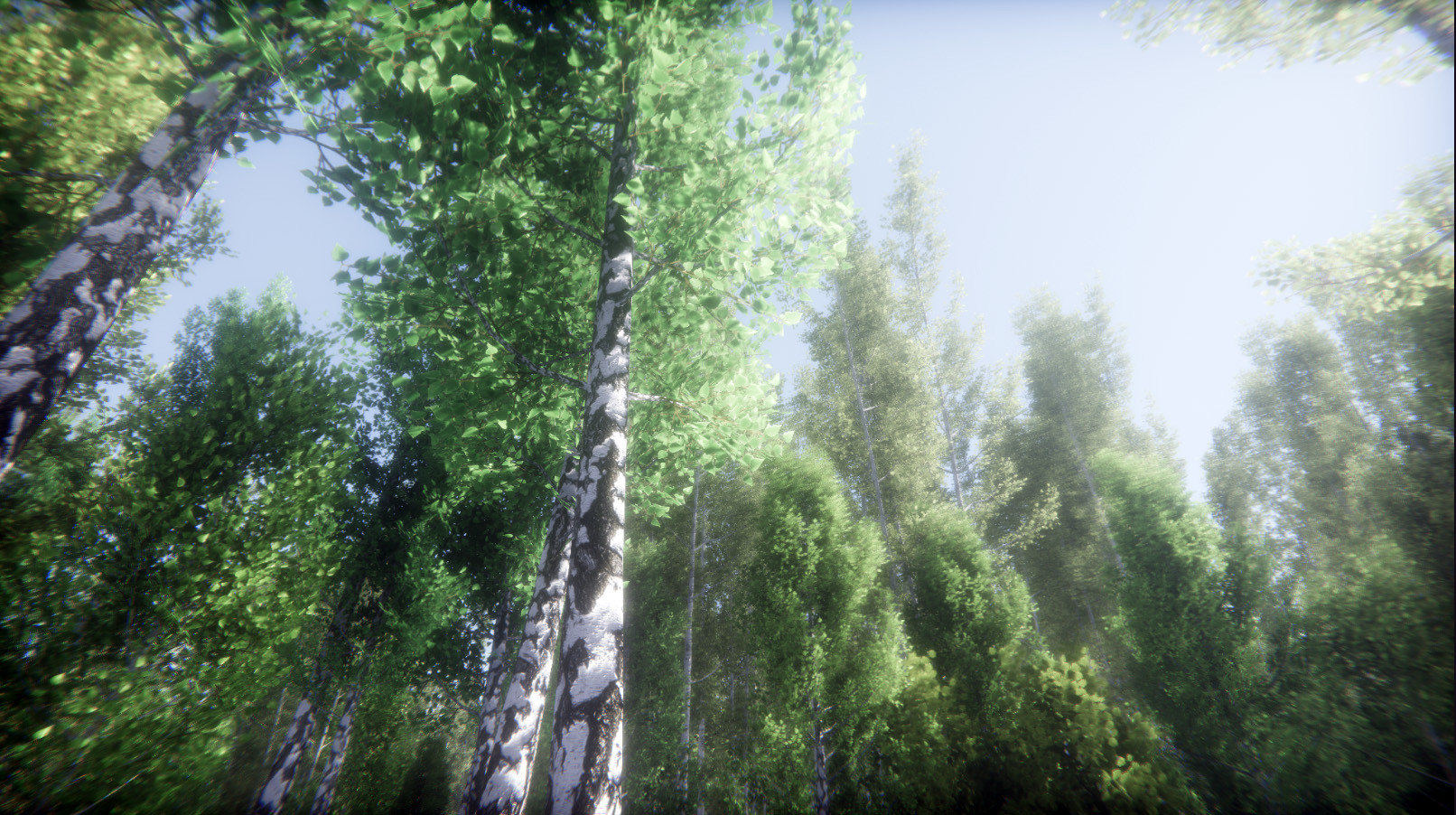 Berries Challenge Steam CD Key