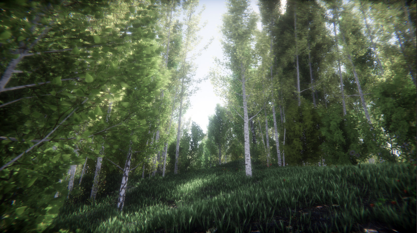 Berries Challenge Steam CD Key