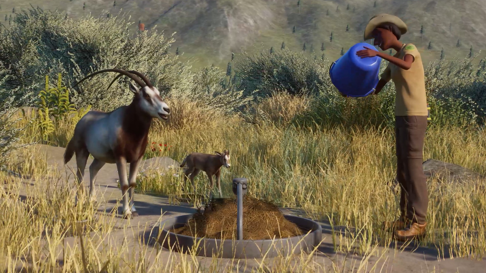 Planet Zoo - Conservation Pack DLC Steam Altergift