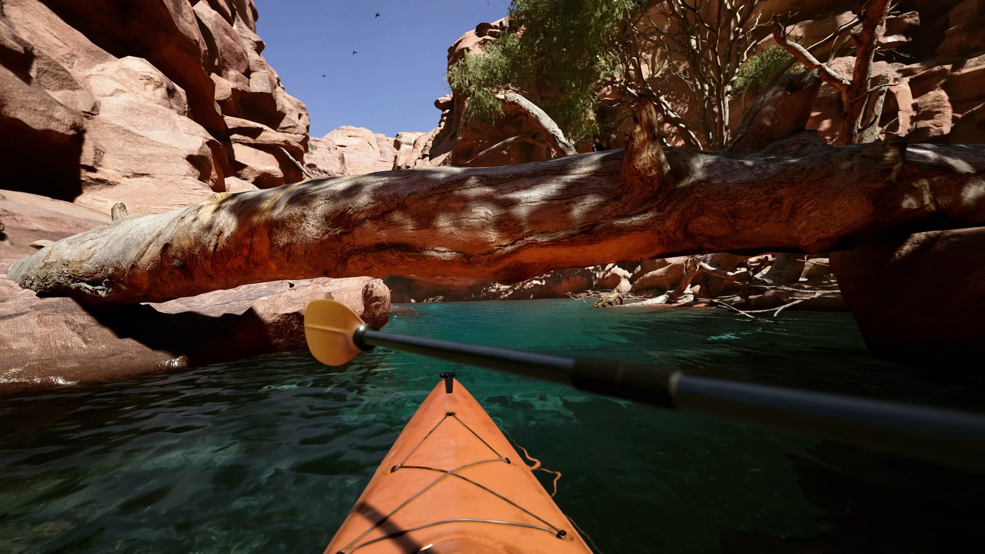 Kayak VR: Mirage PC Steam Altergift