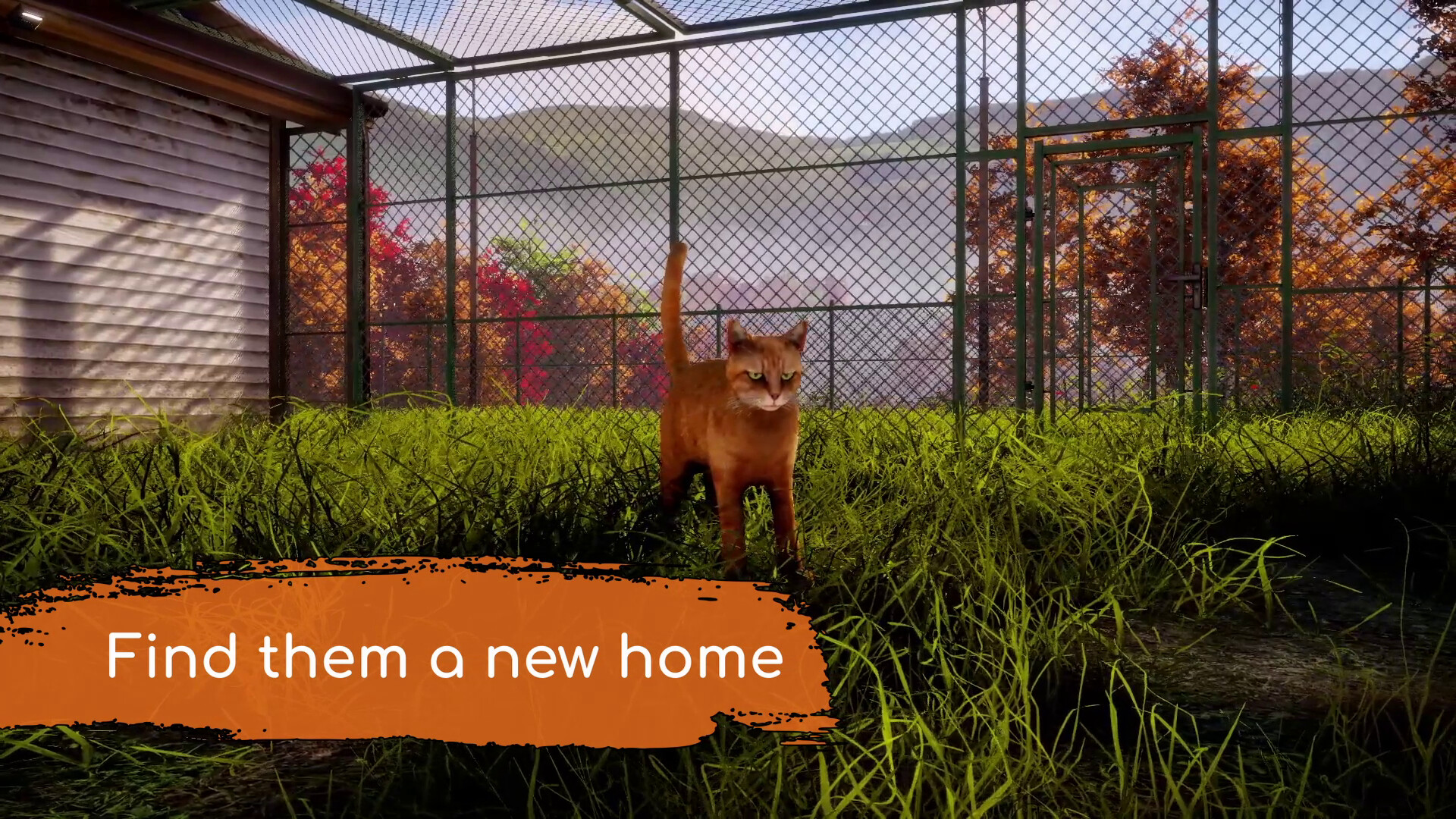 Animal Shelter 2 PC Steam CD Key