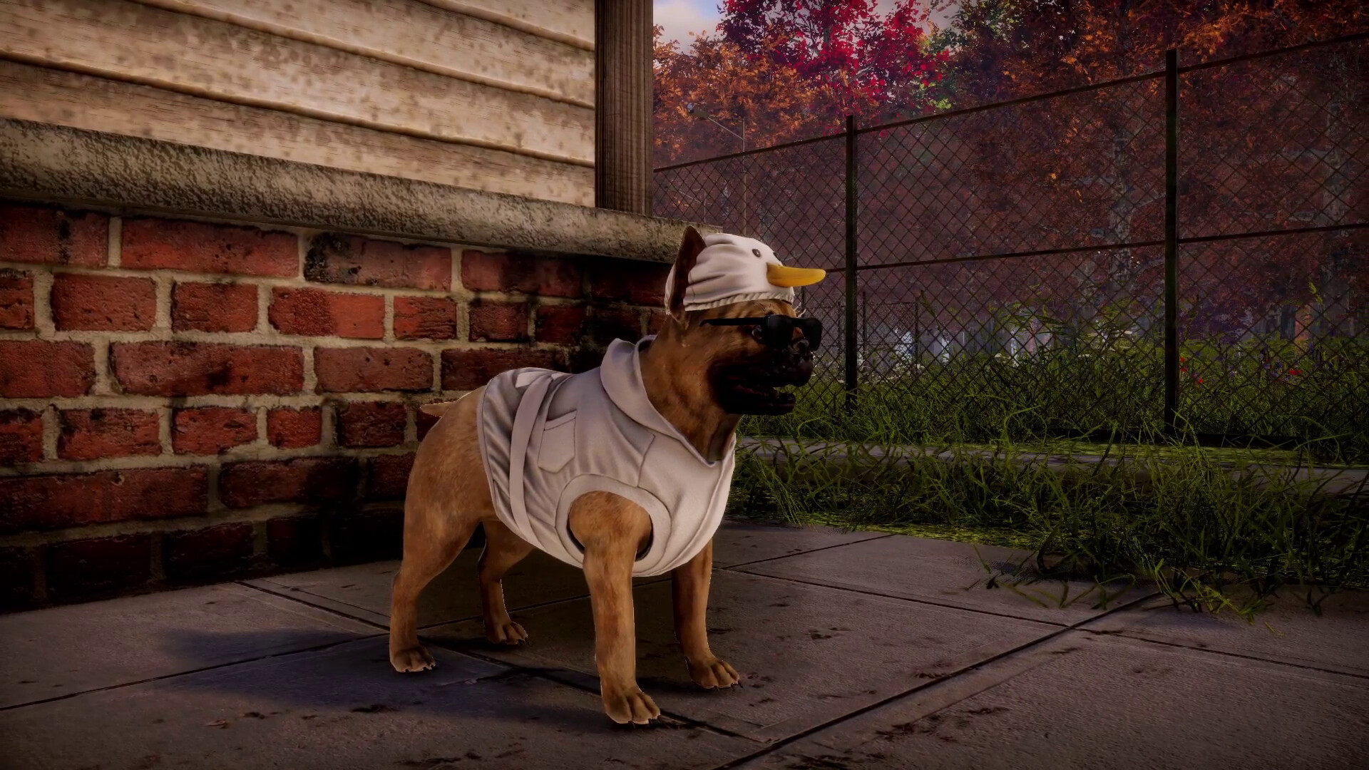Animal Shelter 2 PC Steam CD Key