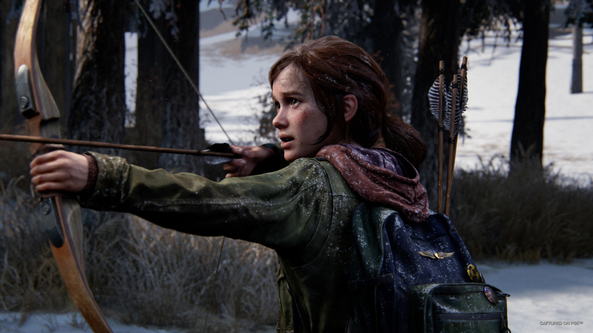 The Last of Us Part 1 Digital Deluxe Edition EU Steam CD Key