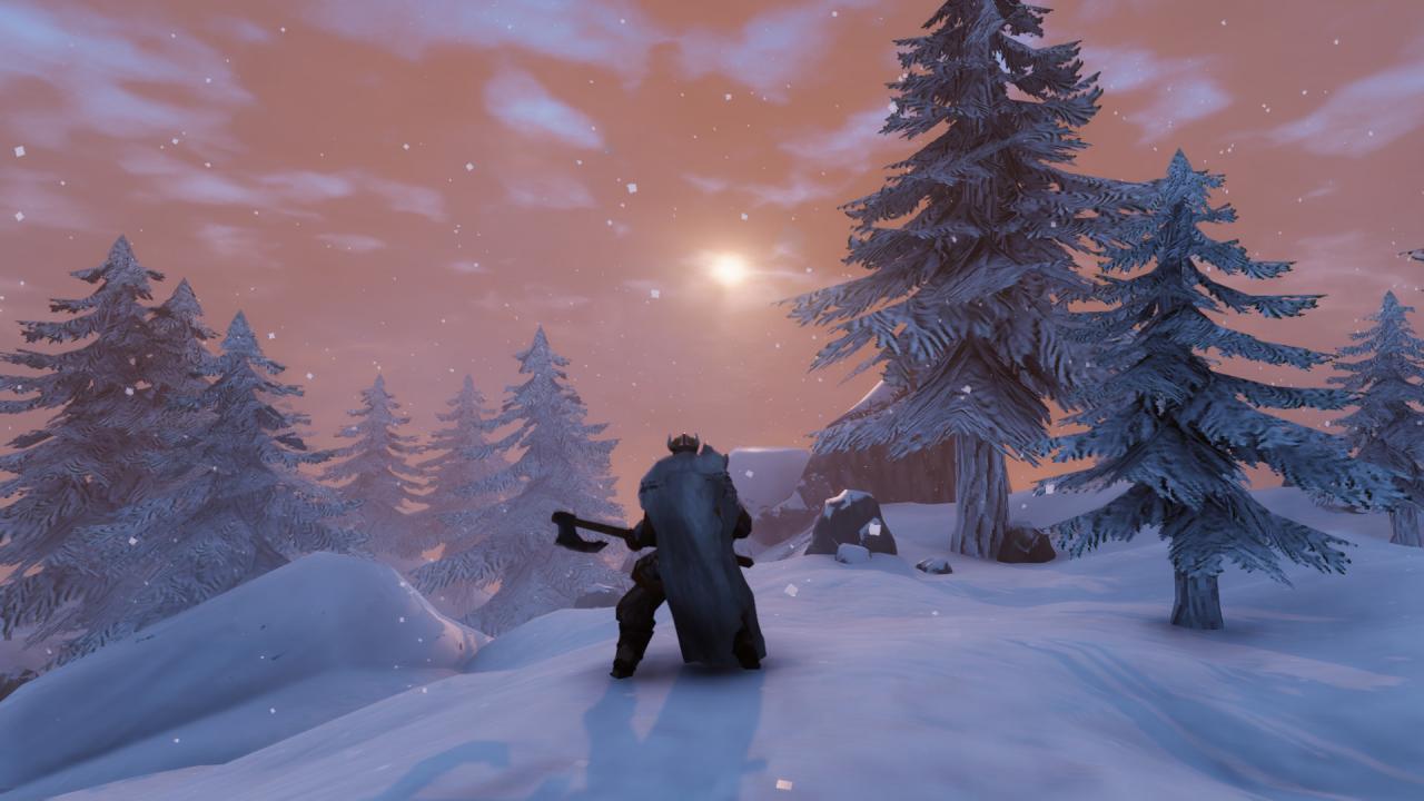 Valheim PC Steam Account