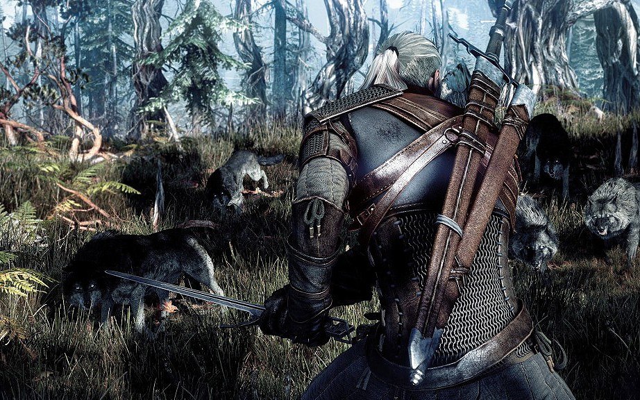 The Witcher 3: Wild Hunt Steam Account