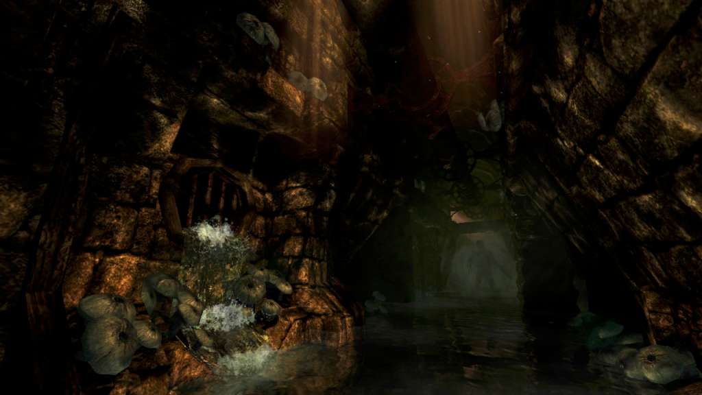 Amnesia: The Dark Descent EU PC Steam CD Key