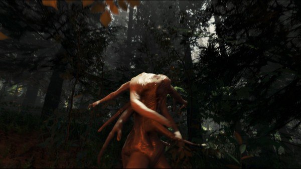 The Forest PS4 Account