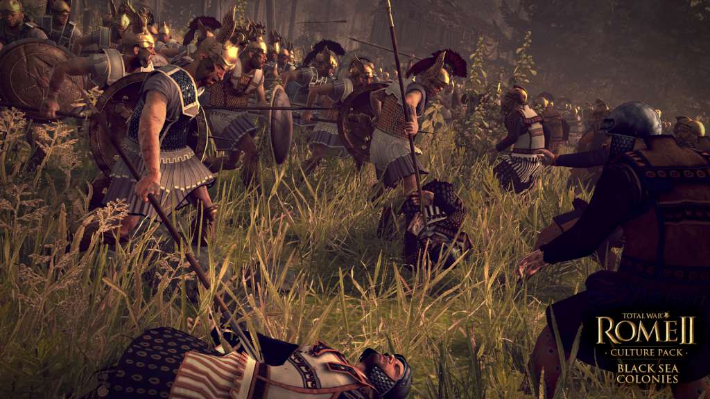 Total War: ROME II - Black Sea Colonies Culture Pack DLC EU Steam CD Key