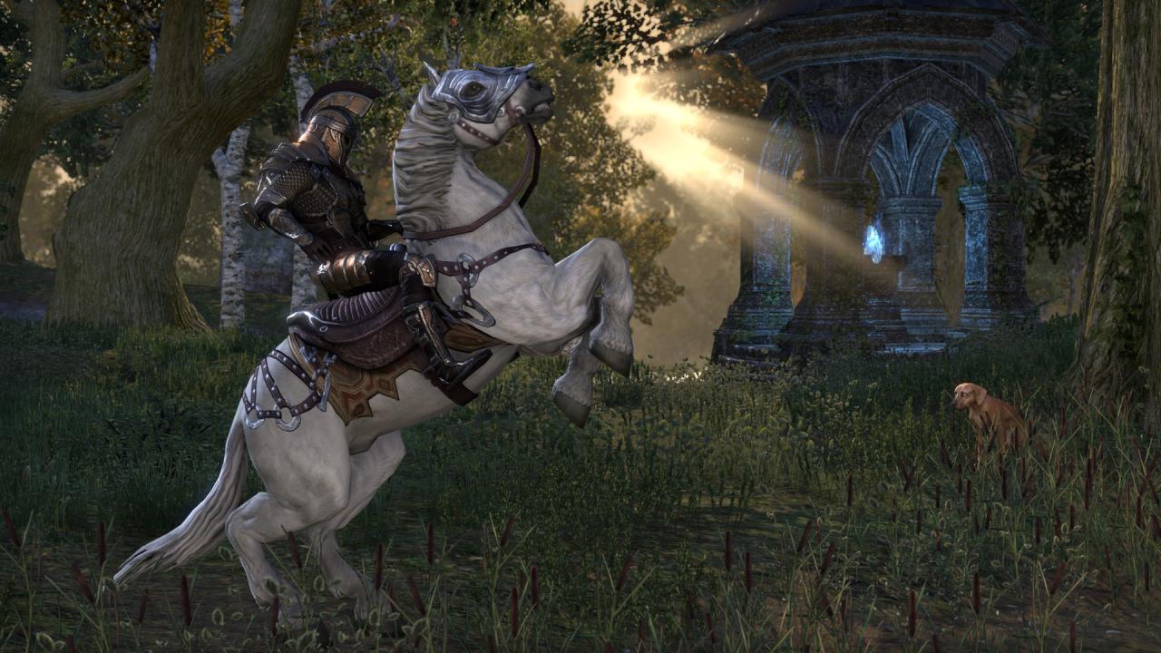 The Elder Scrolls Online Standard Edition Epic Games Account