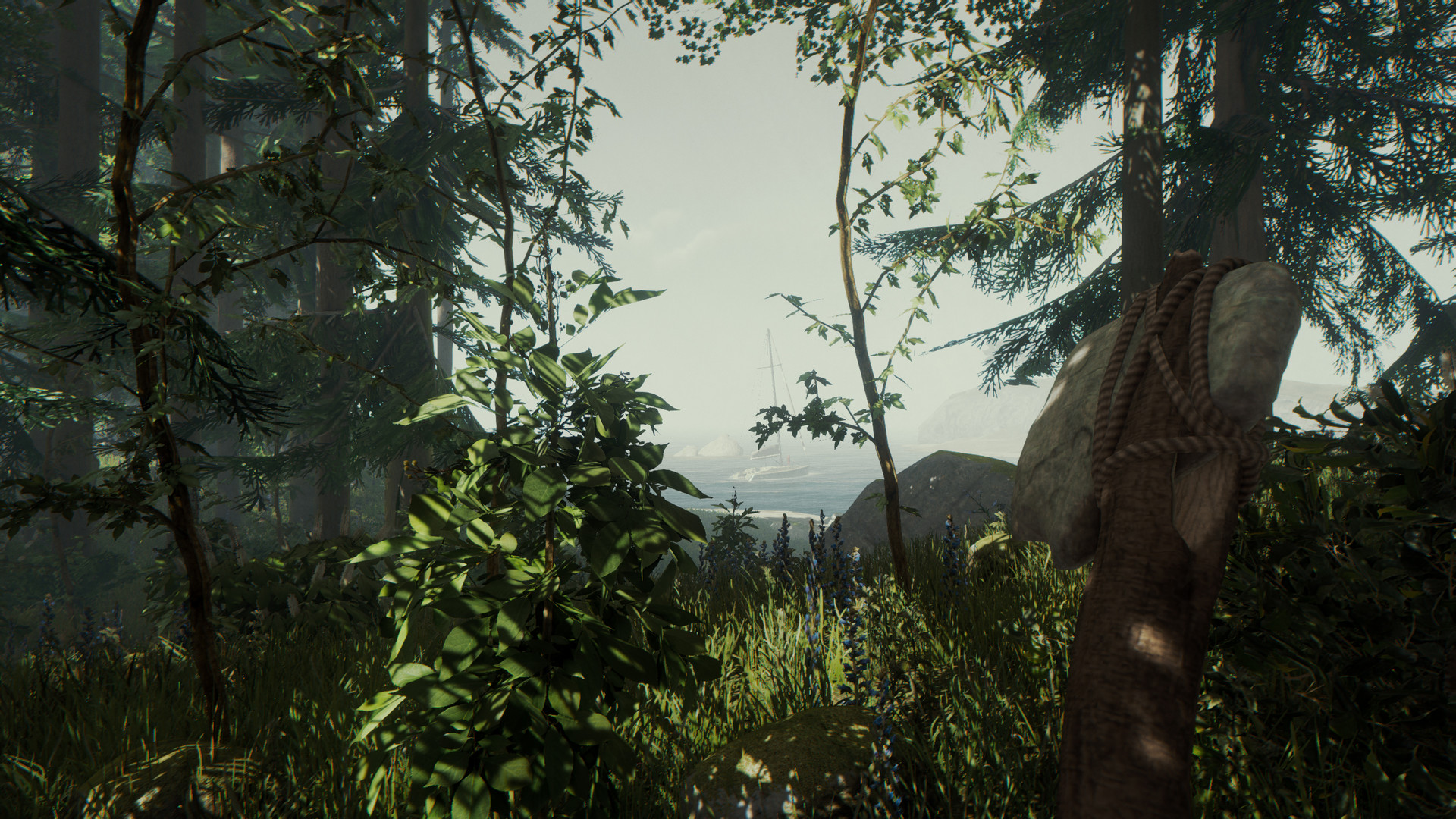 The Forest PS4 Account